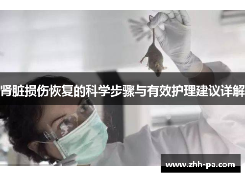 肾脏损伤恢复的科学步骤与有效护理建议详解 肾脏损伤恢复的科学步骤与有效护理建议详解